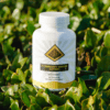 Elderberry-Immune-Support-2