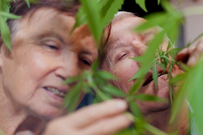 cbd for seniors